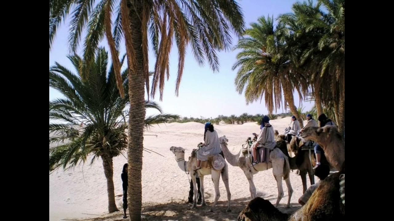 Караван отдых. Айвазовский Караван в оазисе Египет. Три пальмы Верблюды Караван. Три пальмы и Оазис.