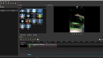 Background removal with OpenShot