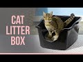 5 Best Cat Litter Boxes | Top Cat Litter Box