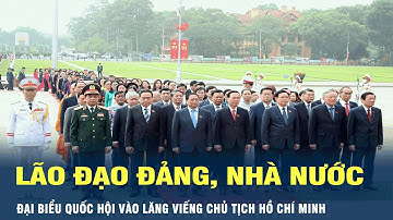 Lãnh đạo Đảng, Nhà nước, đại biểu Quốc hội viếng Lăng Chủ tịch Hồ Chí Minh | VOV