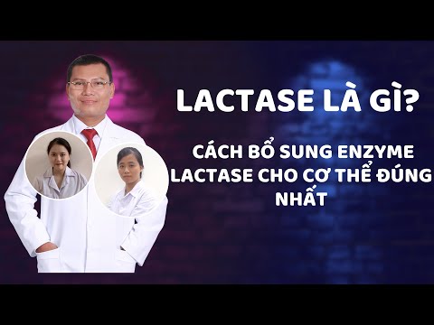 LACTASE LÀ GÌ? CÁCH BỔ SUNG ENZYME LACTASE CHO CƠ THỂ ĐÚNG NHẤT