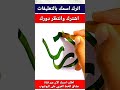 إسم أريام بخط جميل