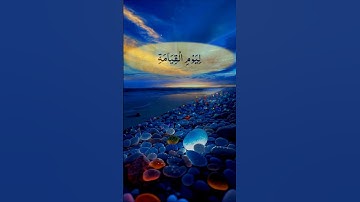 من سورة الأنبياء🌿القارئ هيثم الدخين