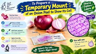 To prepare an onion peel Slide #class9 #biology #biologyclass9th #science#scienceexperiment
