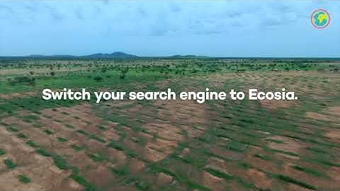 Switch to Ecosia, the alternative search engine