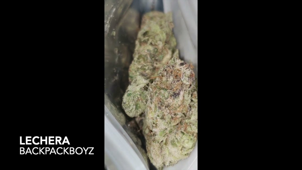 LECHERA BY BACKPACKBOYZ