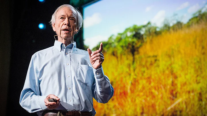 How to green the world's deserts and reverse clima...