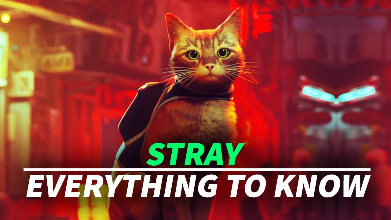 The video game Stray taps into why we fancy being a cat