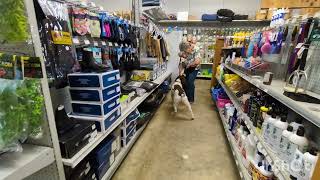 Sniffer Dogs Level Two Grads July26