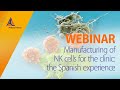 Manufacturing of NK cells for the clinic: the Spanish experience [WEBINAR]