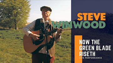 Steve Winwood - "Now The Green Blade Riseth" (2020)