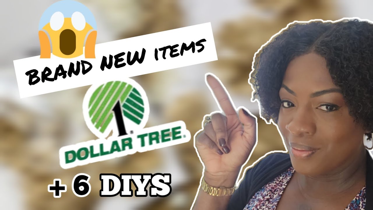 6 Dollar Tree DIYS using new items. 