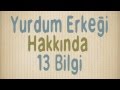 Sayıları Karşılaştırma (Okul Öncesi Matematik / Sayma)