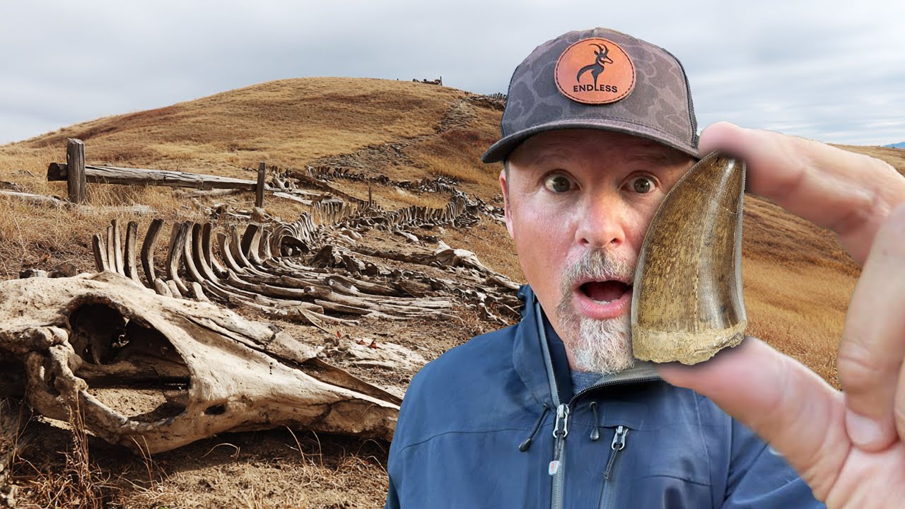I Found Rare T-Rex Teeth!