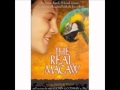 Bill contirod davies  treasure in you  the real macaw 1998  ost