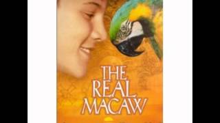 Bill Conti/Rod Davies - Treasure in You - The Real Macaw (1998) - OST