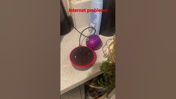 Alexa, no internet connection