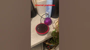 Alexa No Internet Connection 