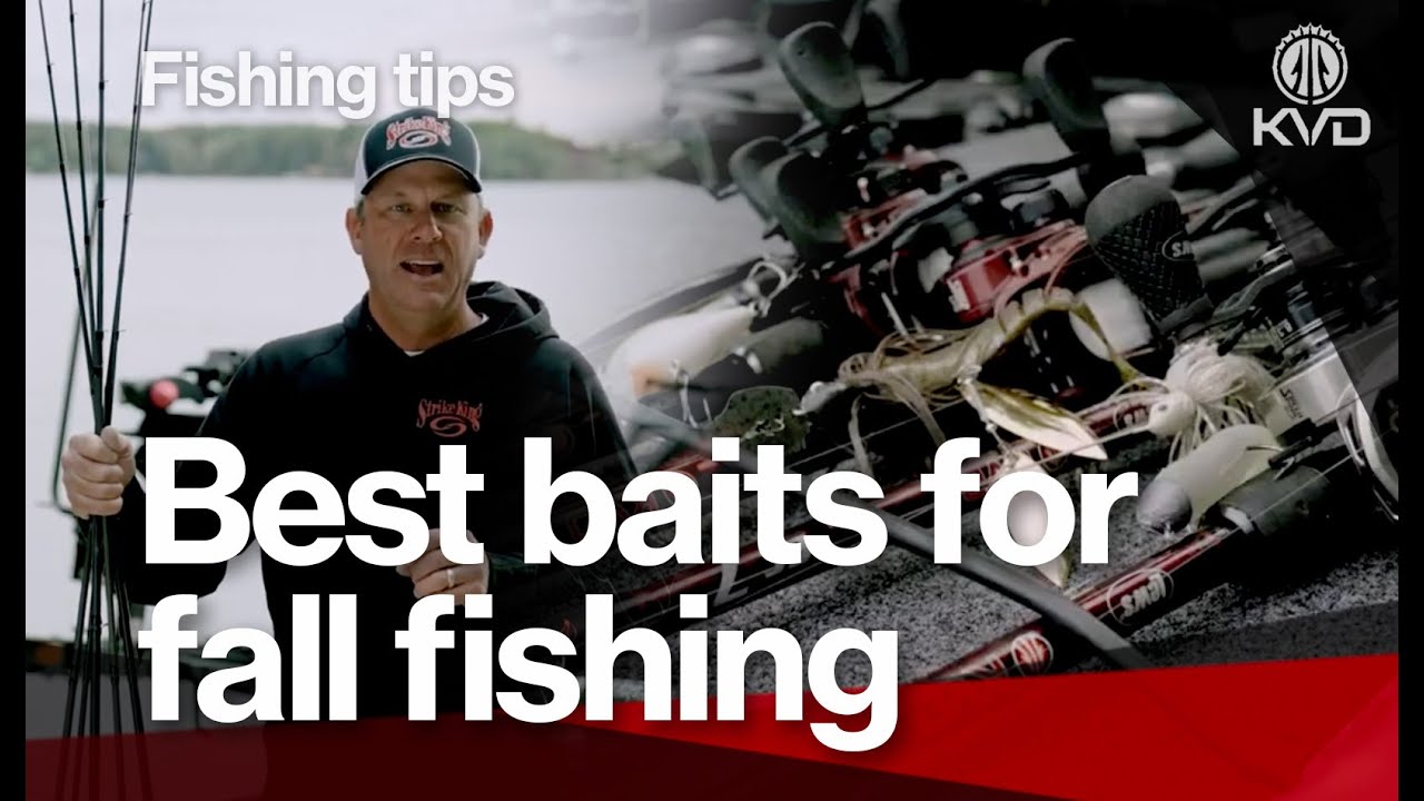 catching rats with a fishing pole Rats for Bait Catch Monster Fish