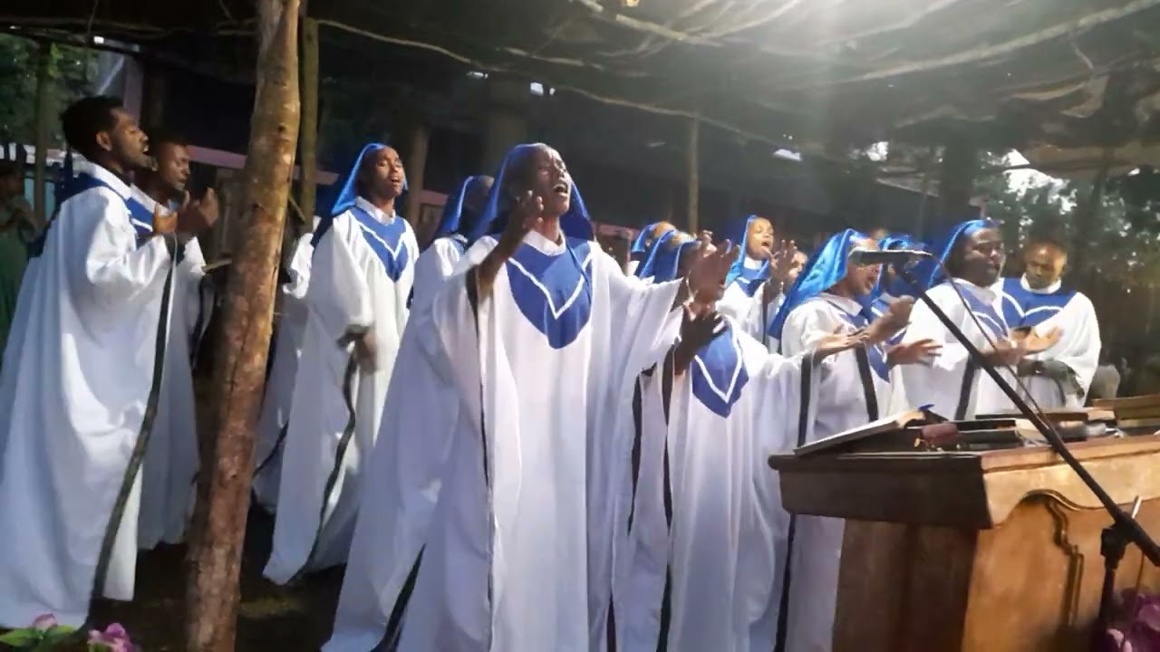 kindo wamura adnakore hibret mezemran