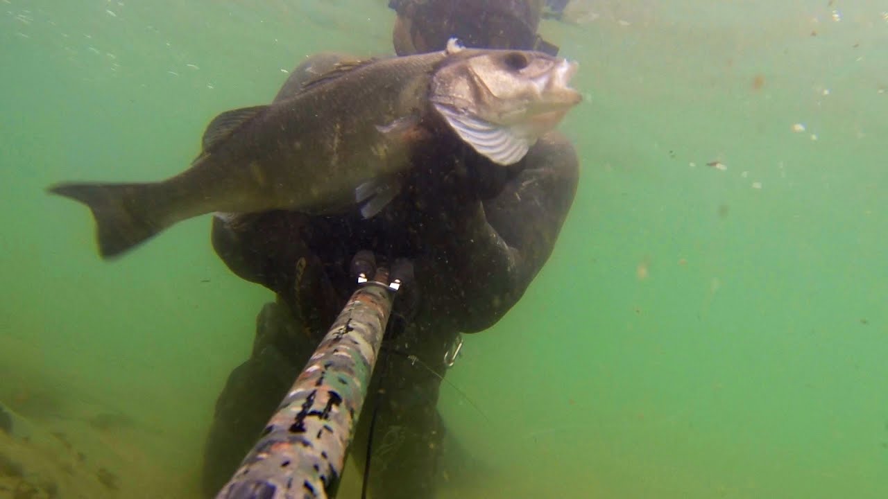 PESCASUB HD Pescate ivernali...Leroi design Go pro 3 black