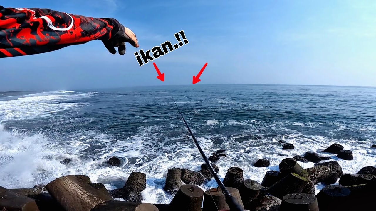 Mancing di dermaga yang lagi viral,!! ikannya nggak ada habisnya
