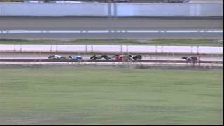 WAGGA-07062015-RACE-1