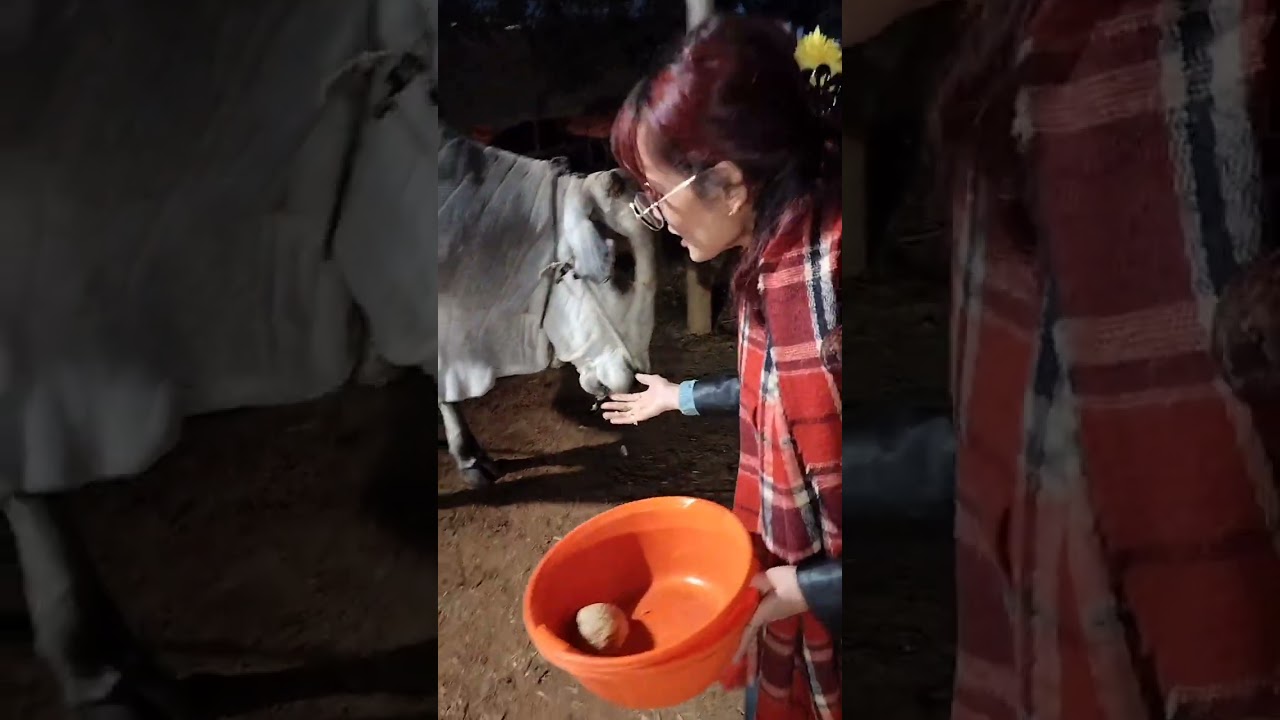 ADIYOGI DARSAN 🪔🌸🙏