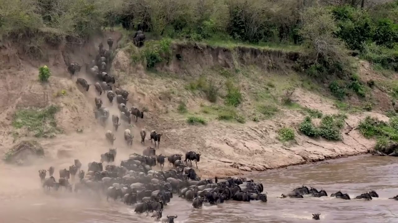 Real Africa Travel | Explore the real Africa