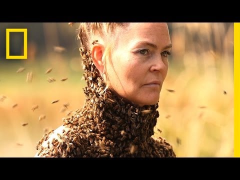 She Dances With 10,000 Bees on Her Body | National Geographic