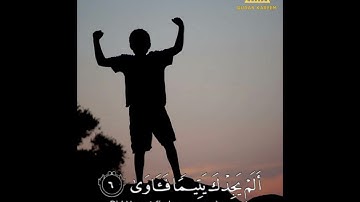 من سورة الضحى بصوت القارئ ابراهيم عمران//أجمل حالات وتساب
