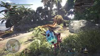 Great Jagras Capture Net Ownage