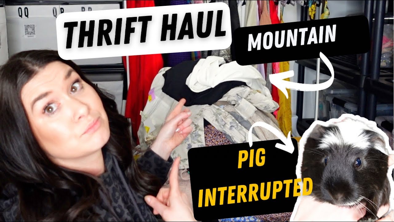Huge Thrift Store Haul (Clothes & Shoes )To Resell on Poshmark for Profit + Guinea Pig