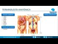 TERMINOLOGÍA ANATÓMICA || Resúmenes de Anatomía y Fisiología