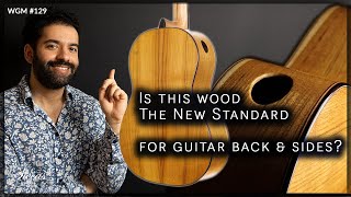 Thumbnail for These Guitars Need More Attention! Weekly Guitar Meeting #129 | Fallah, Dantone, Toon, Lijoi, Salina