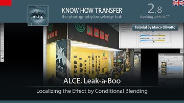 2.8 Working with ALCE | ALCE, Leak-a-boo | Tutorial by Marco Olivotto
