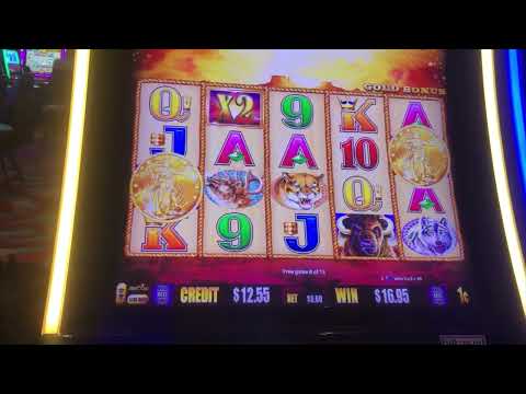 Another coin bonus on slot machine
