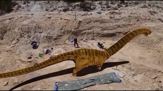 Wyoming Dino Dig