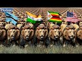 Lion Population by Country 2024 | Lion King