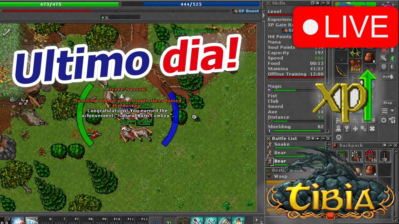 [TIBIA] | Evento de Doble Exp🤑 (Ultimo Dia) - YouTube