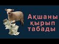 Күніне 35 мың теңге табады