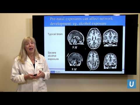 How Does a Child&rsquo;s Brain Develop? | Susan Y. Bookheimer PhD | UCLAMDChat