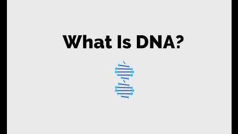 Fantastic DNA! extraction steps