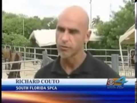ARM'S Founder while with SPCA