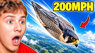What Is the FASTEST Bird in the World? screenshot 3