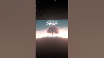سورة هود|18|القارئ:#محمد_اللحيدان #قران #quran  #قران_كريم #تلاوة #تلاوة_هادئة #آية #تلاوة_خاشعة