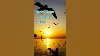 kata kata motivasi untuk semangat kerja #shortsfeed #shortsvideoviral