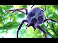 5 Real Life Encounters With Giant Spiders That Cannot Be Explained