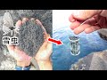 「雪虫」をかき集めて、釣りのエサにしてみた