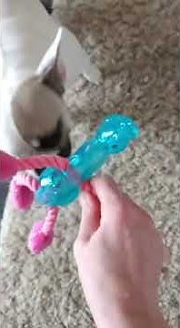 youtube.com